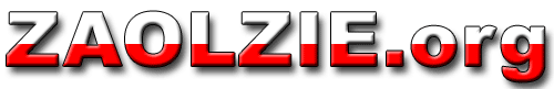 ZAOLZIE - Polski Biuletyn Informacyjny nr 8/2010 (80)
